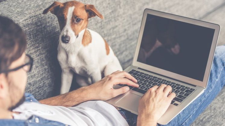 Reduceri eMAG: 3 laptopuri pe care sa ti le cumperi la preturi mici