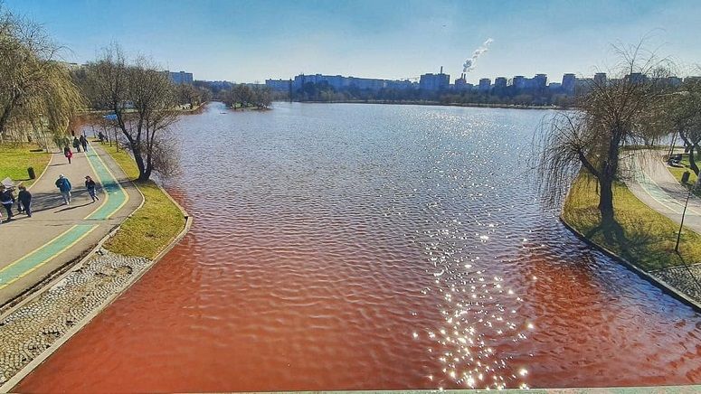 Algele roșii care au provocat înroșirea lacului IOR nu sunt toxice