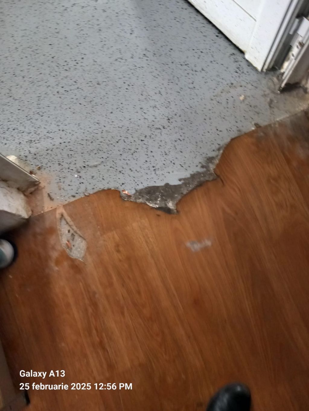 Piedone a luat la rând spitalele din București. Ce nereguli au fost găsite și ce amenzi s-au dat - Imagine 23