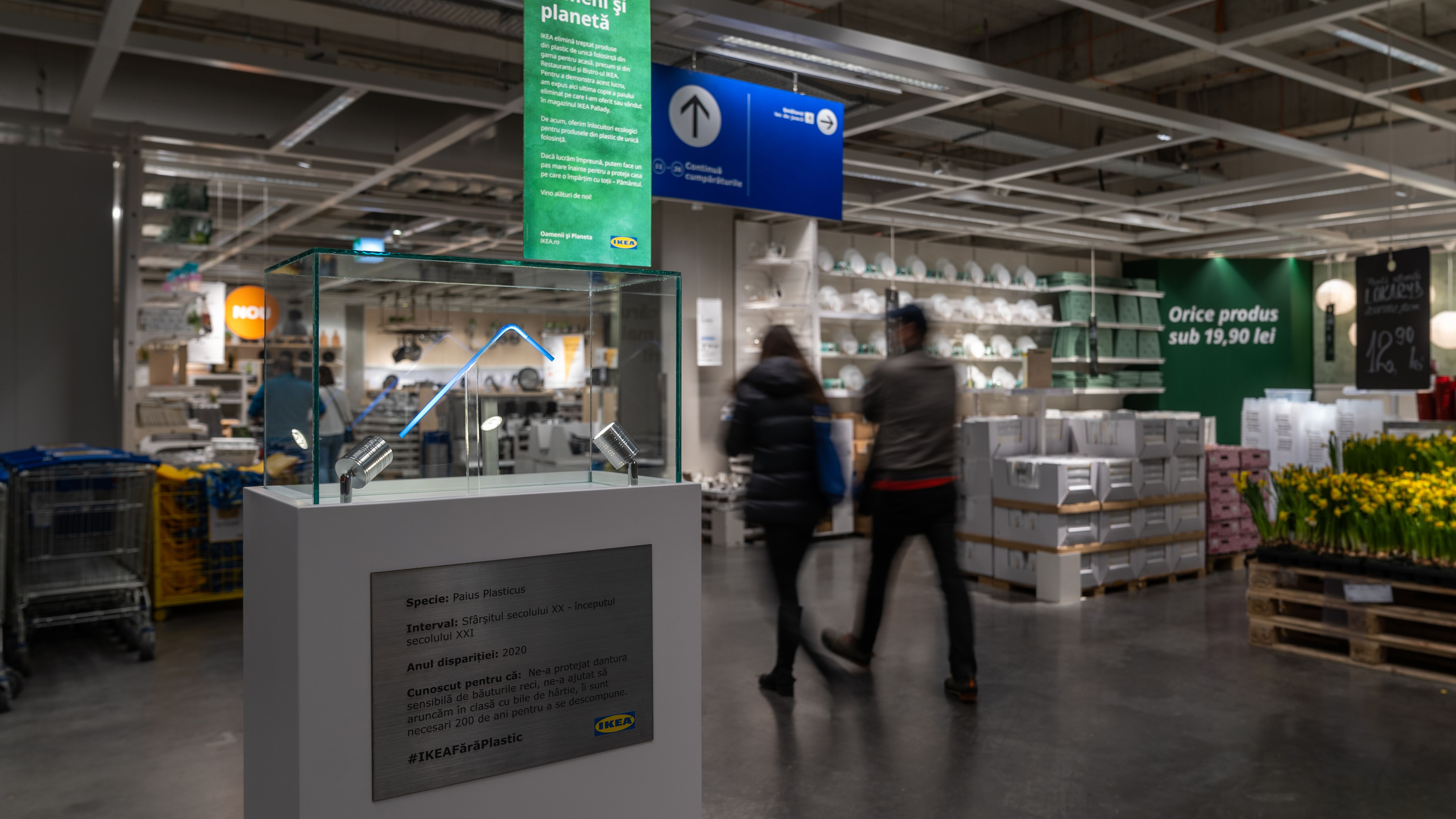 Ikea Romania a eliminat din oferta produsele din plastic de unica folosinta