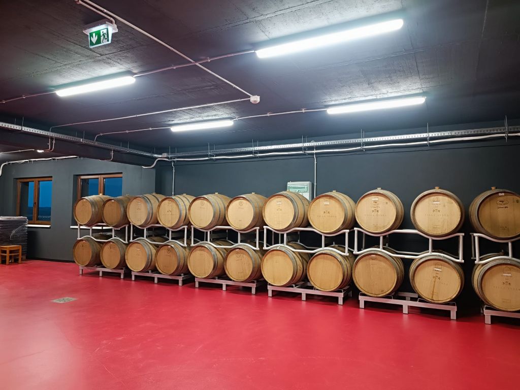 GALERIE FOTO: Cum arată crama Villa VinÃ¨a, după cele 2 milioane de euro investite în extinderea - Imagine 4