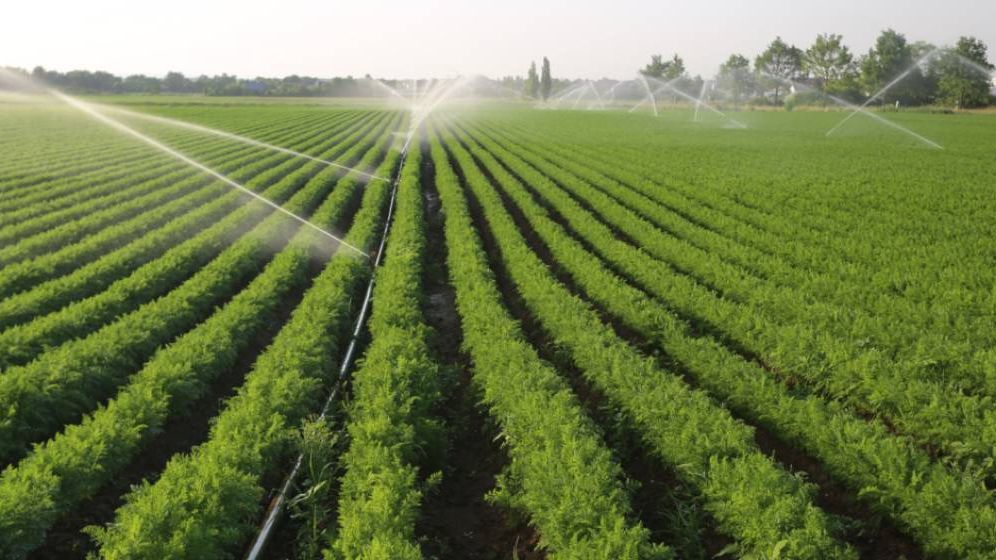 AFIR a depăşit ţinta de absorbţie a fondurilor europene pentru agricultură şi dezvoltare rurală în 2024