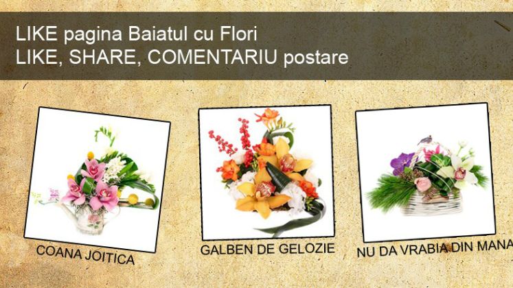 (P) Concurs Baiatul cu Flori: Castiga un aranjament de flori pe zi si cucereste cuconita!