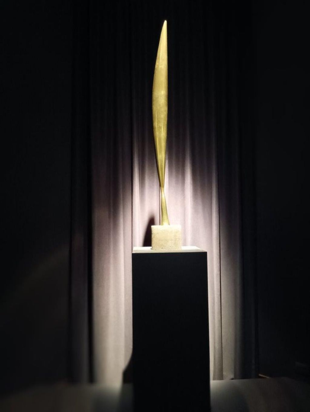 Expoziția Brâncuși de la Timișoara: capodoperele, în vizită în patria părintelui lor - Imagine 60