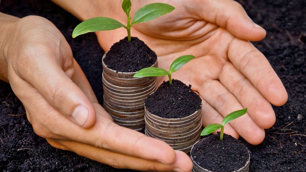 Agricultura la raport: top 10 cele mai mari companii din sectorul agricol