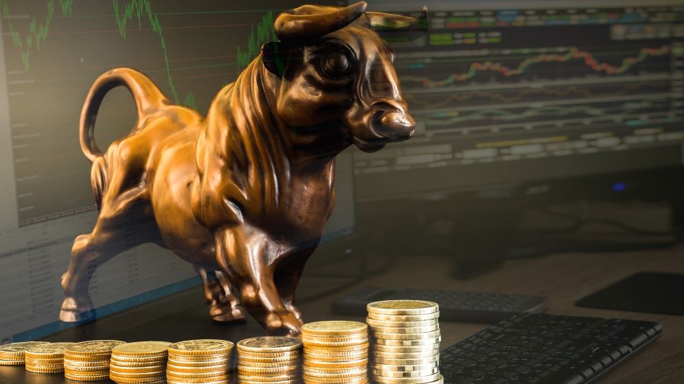 Distribuirea dividendelor, permisa in Romania inainte de incheierea anului financiar