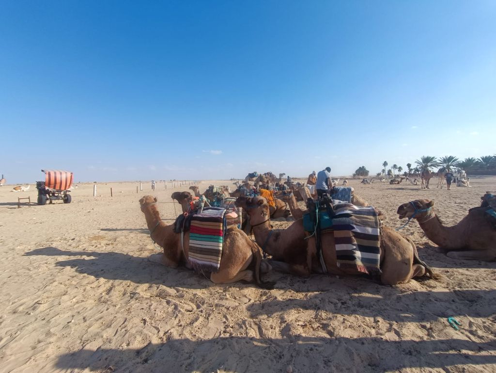 GALERIE FOTO: Vacanță în Tunisia, cu aventuri în deșert și oaze naturale, dar și cu stațiuni - Imagine 19