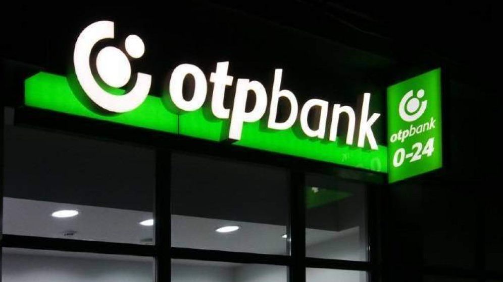Finantare de 10,5 milioane de lei pentru cea mai mare plantatie de afini bio din Romania, oferita de OTP Bank