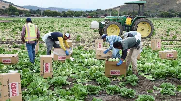 Ce se intampla cu romanii si ceilalti imigranti din Marea Britanie dupa Brexit