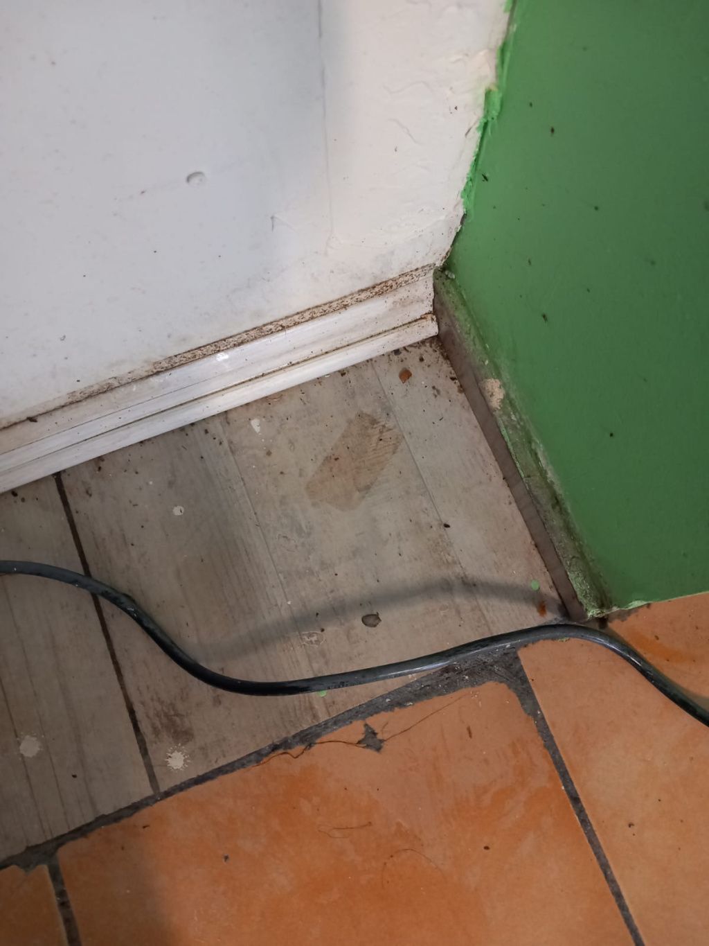 FOTO | Raid ANPC în Apaca: amenzi, restaurante închise și gândaci surprinși la masă - Imagine 9