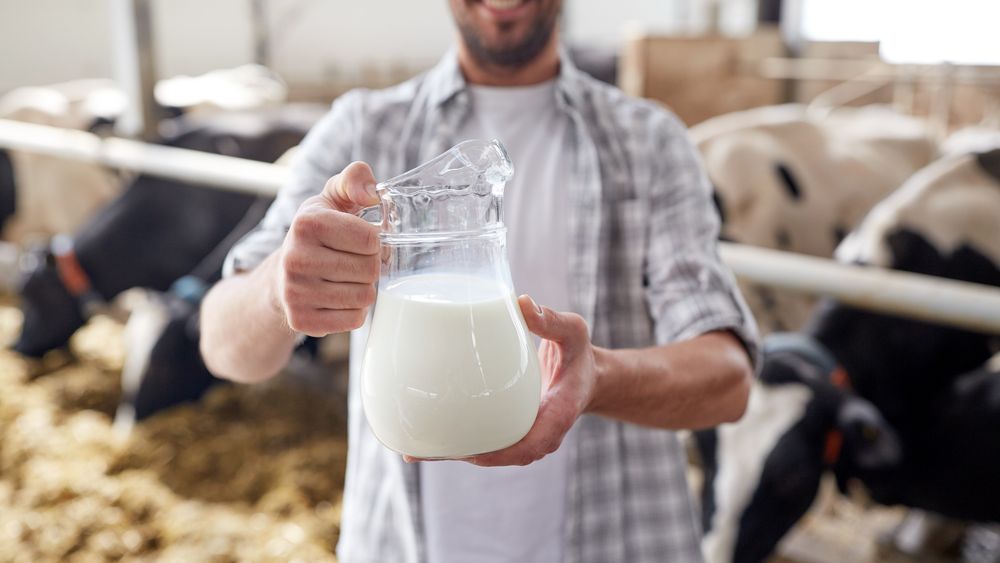 APIA: Ajutor de la Comisia Europeană pentru depozitarea privată a cărnii de bovină, capră şi oaie, unt, lapte praf şi brânzeturi