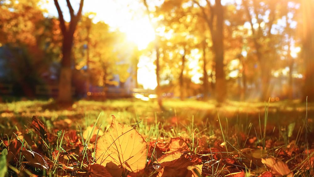 Prognoza meteo ANM: Temperaturi maxime între 13 și 15 grade, vreme mai caldă în Banat