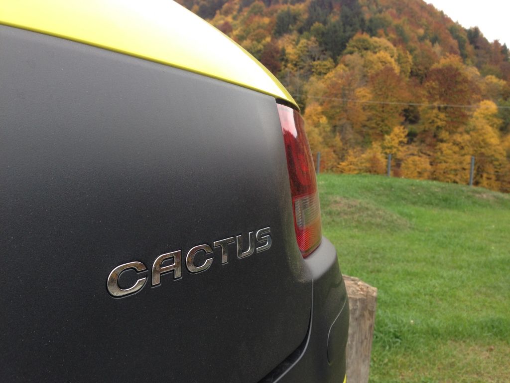 Citroen C4 Cactus - Imagine 7
