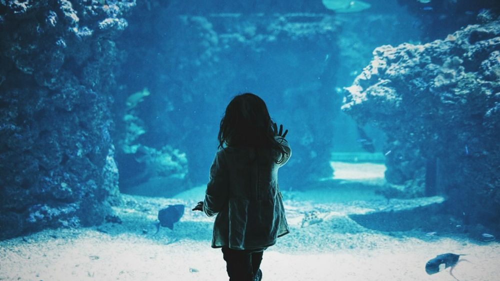 Senatul a adoptat tacit un proiect de lege care oferă tinerilor sub 18 ani acces gratuit la muzee