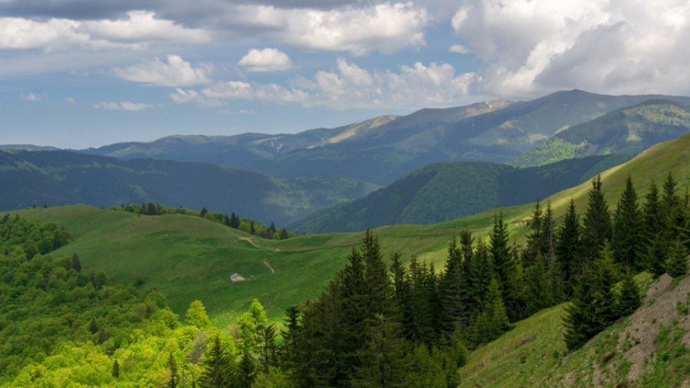 Consultant in turism: Sezonul estival 2018, unul dintre cele mai bune din ultimii 20 de ani