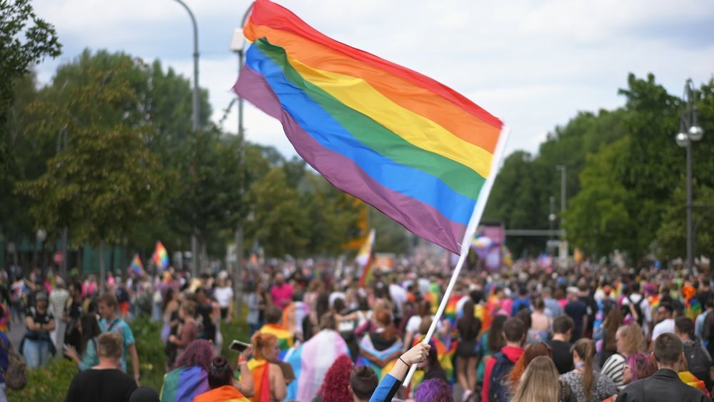 Ungaria a interzis paradele gay. Ce riscă participanții