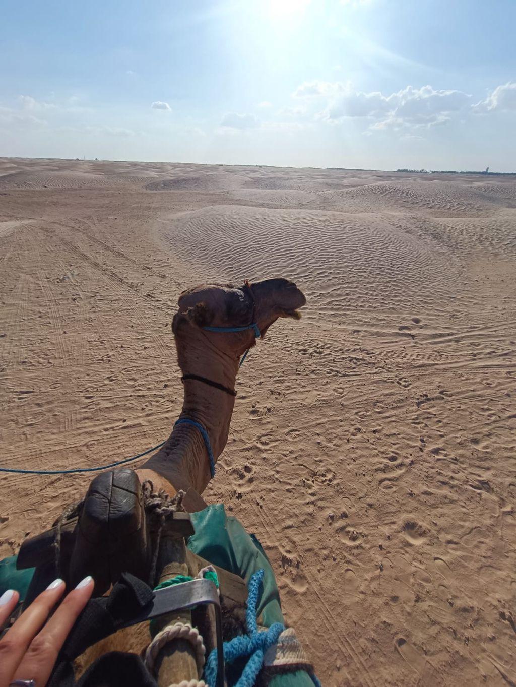 GALERIE FOTO: Vacanță în Tunisia, cu aventuri în deșert și oaze naturale, dar și cu stațiuni - Imagine 20