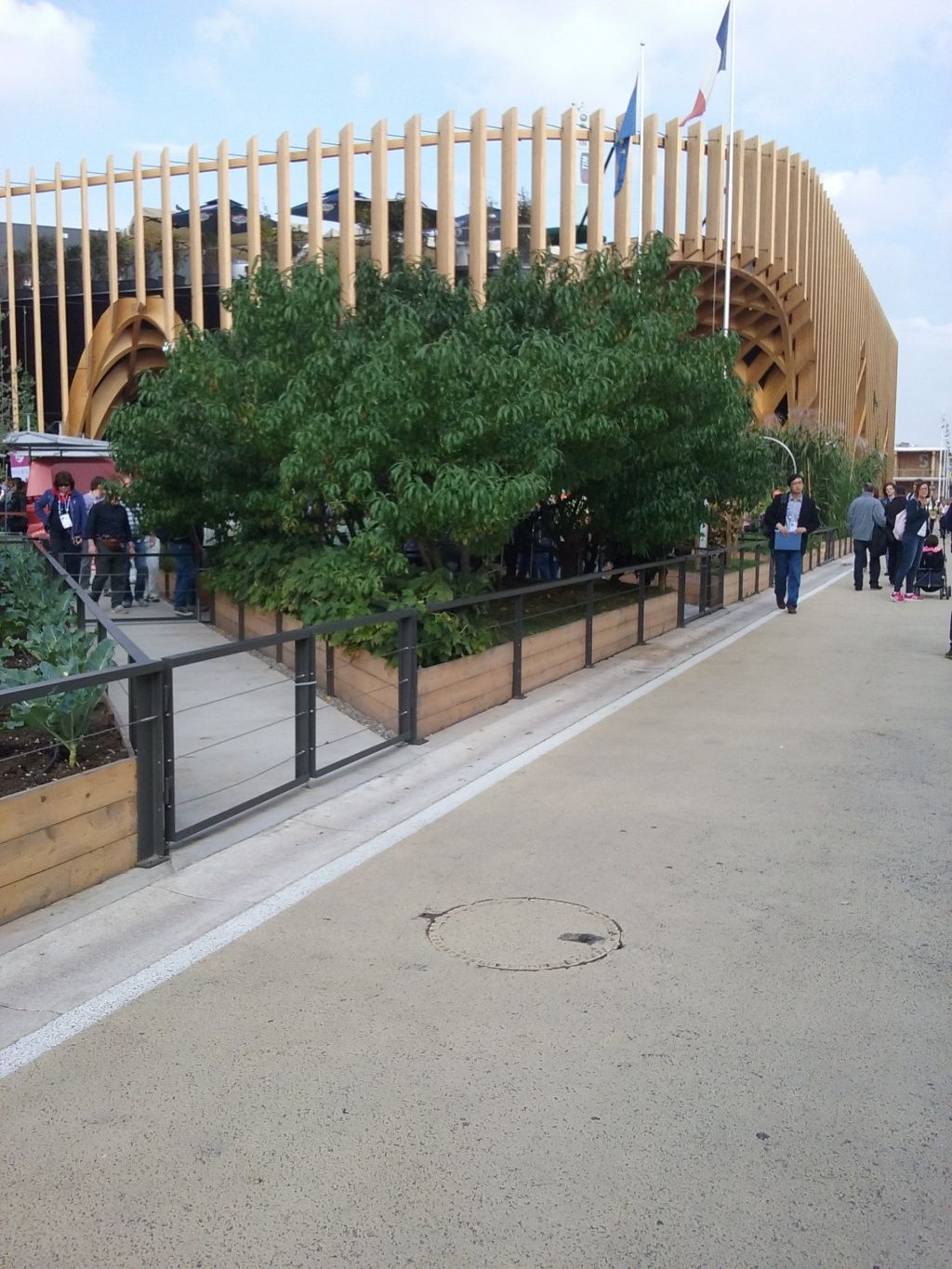 Expo Milano - Imagine 13