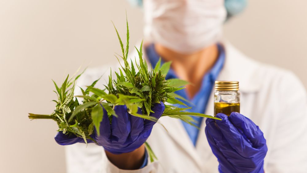 Portugalia a legalizat utilizarea canabisului in scopuri medicale, dar nu si cultivarea proprie