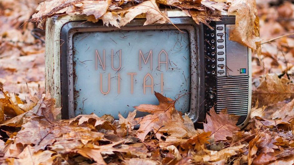 Roxana Puia, ENVIRON: Dând premii, am creat ideea că deșeul poate fi exploatat, că poți scoate un profit din el