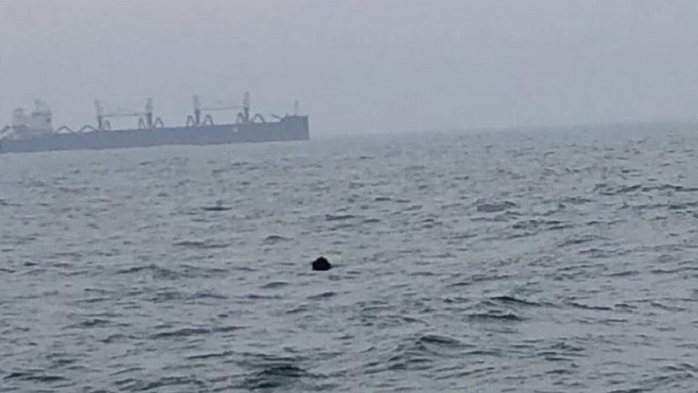 O mină marină a fost descoperită în apropiere de Portul Constanța
