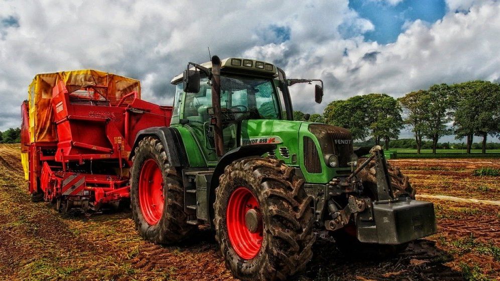 Fermierii români anunță un protest național dacă guvernul nu ia decizii legate de cerealele din Ucraina