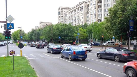 Șobolanii au stricat semafoarele pe Bd. Unirii