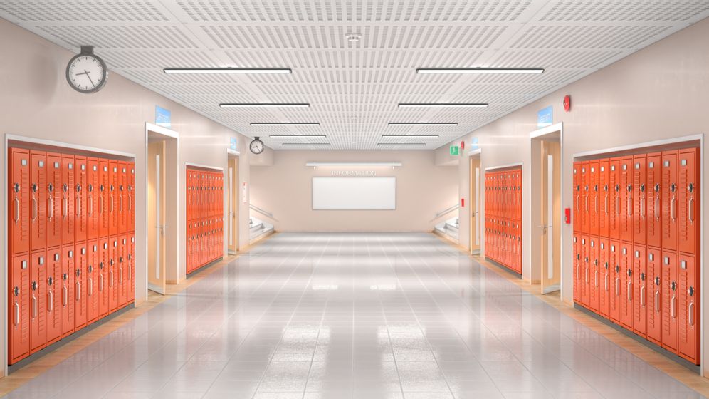 USR cere retragerea de urgență a noii legi a Educației