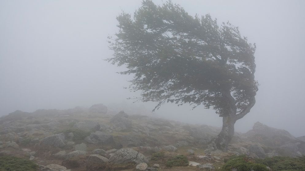 Avertizare ANM: Cod galben de vânt puternic în vestul țării și informare de vreme rece, cu precipitații mixte, valabilă până joi