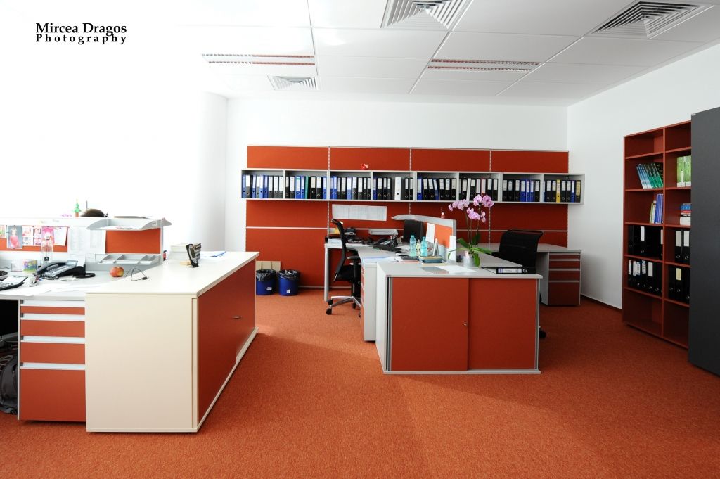 Birou Teaha Consulting - Imagine 35