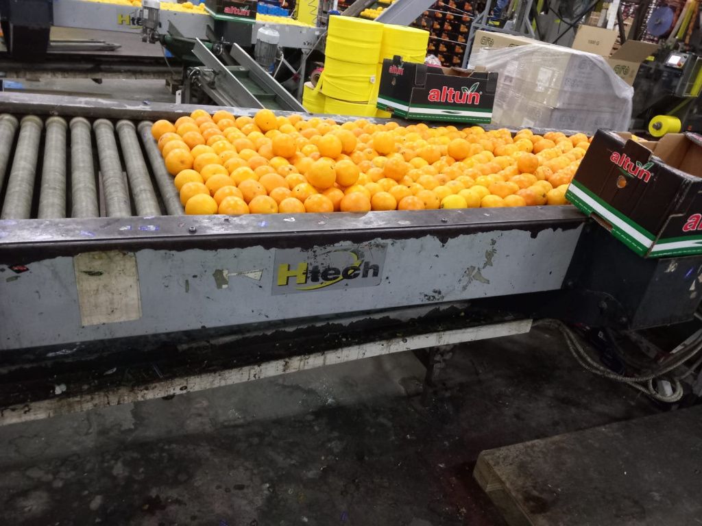 FOTO | ANPC controlează depozitele de fructe și legume: au fost oprite din comercializare 200 de t - Imagine 6