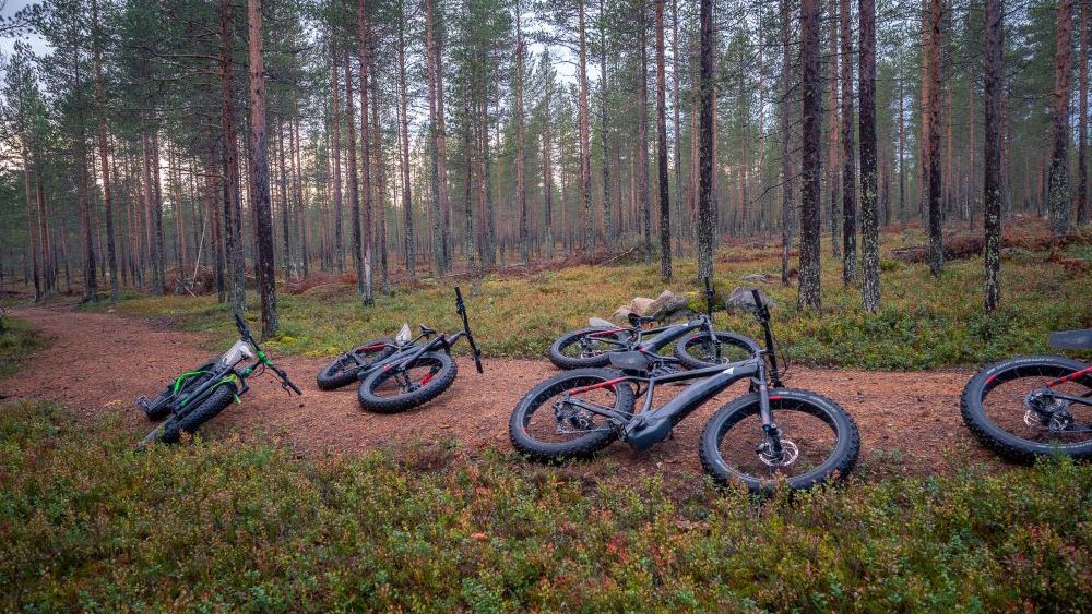 A fost lansată prima platformă de călătorii din România care promovează turismul responsabil