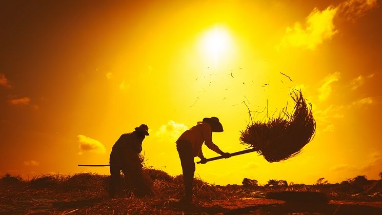 Satul din Alba, unic in Romania, care se gospodareste singur, dupa ideea geniala a unor tarani. Oamenii isi fac poduri, repara strazi, biserica si isi ajuta saracii