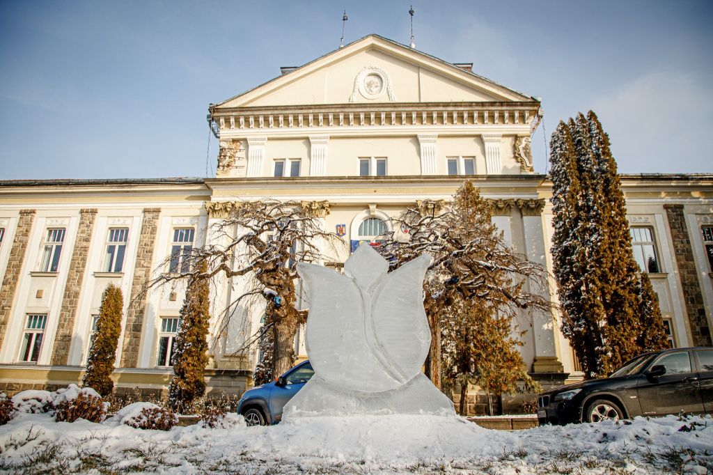 FOTO | Acest oraș din România a profitat de ger și a ornat spațiile publice cu flori de gheață - Imagine 2