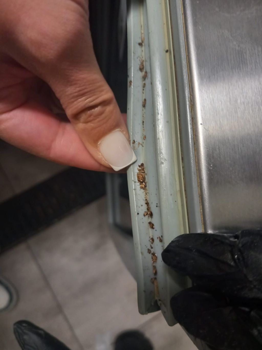 FOTO | Ce a descoperit ANPC la un restaurant popular de pe litoral. Activitatea a fost oprită - Imagine 8