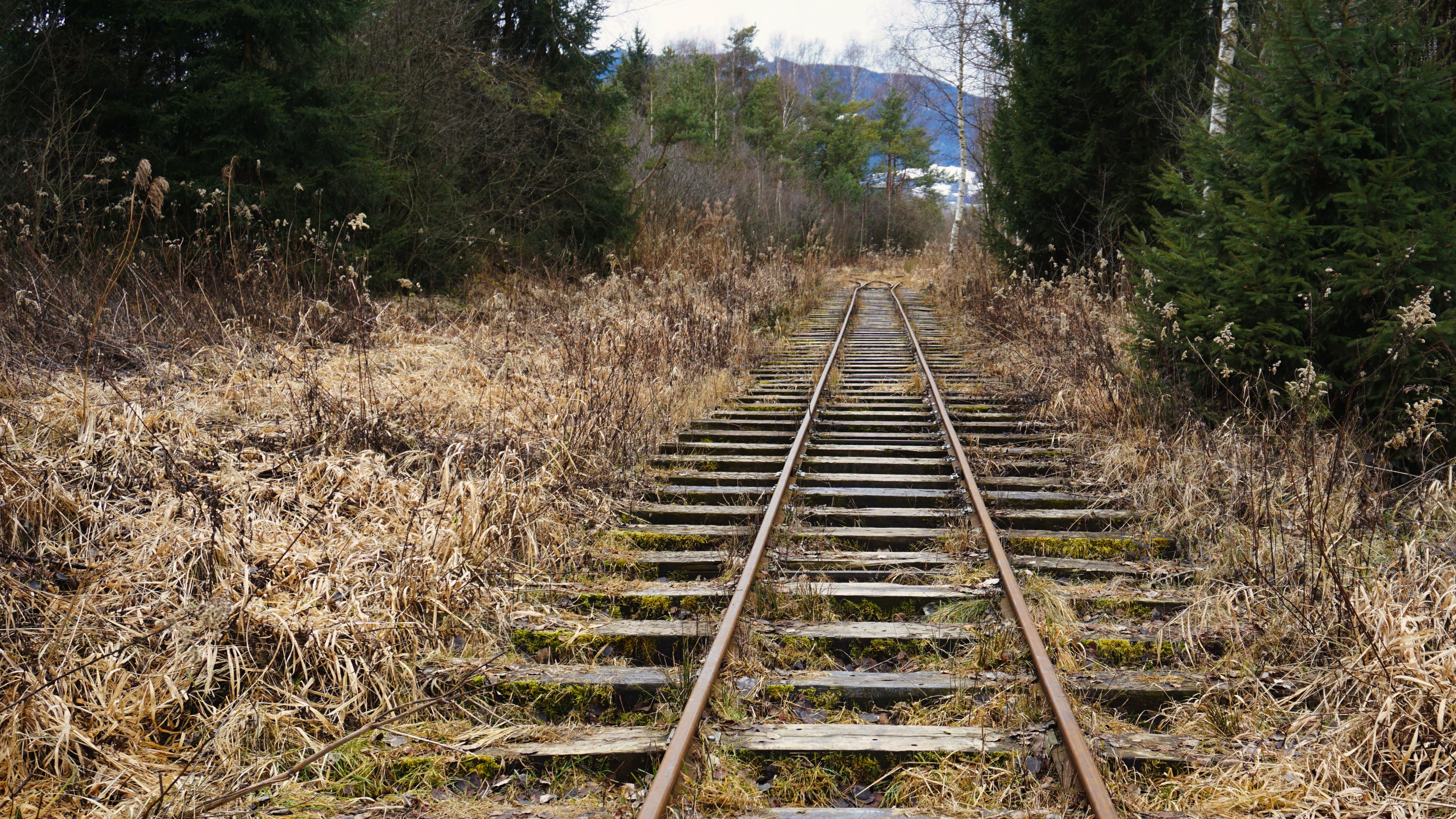 Controale pe căile ferate din țară: câte kilograme de fier au recuperat polițiștii