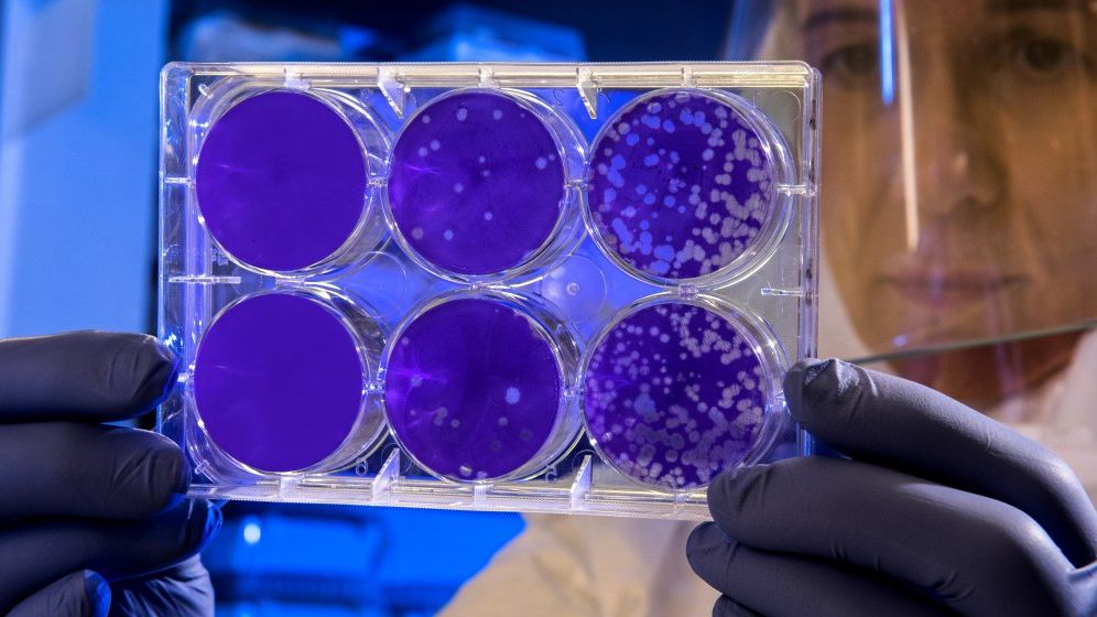 Tot ce se stie pana acum despre coronavirus: in China sunt 41 de morti si 1.300 de persoane contaminate