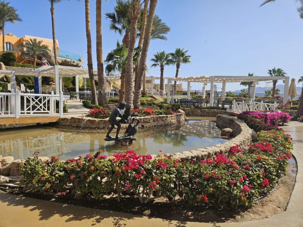 [GALERIE FOTO] Sharm el Sheikh: Locul unde Marea Roșie îți taie răsuflarea și deșertul își d - Imagine 27