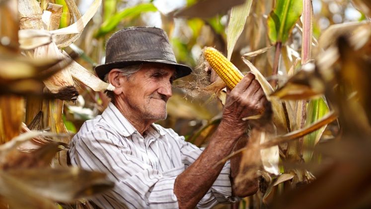 Agricultura cu fermieri de peste 60 de ani? Ce fac marile companii pentru a-i atrage pe tineri spre munca pamantului