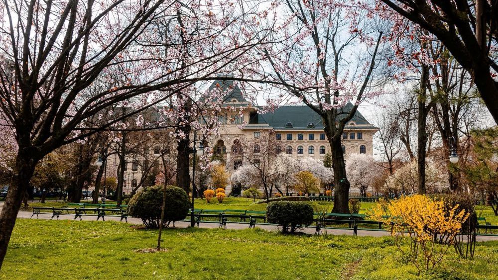 Ciucu, Drulă sau Băluță: pe cine ar vota bucureștenii dacă într-o săptămână ar fi alegeri pentru PMB