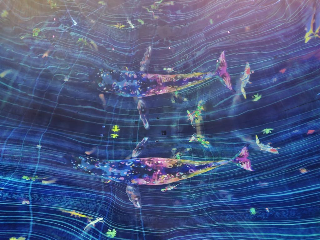 Abu Dhabi - Imagine 11