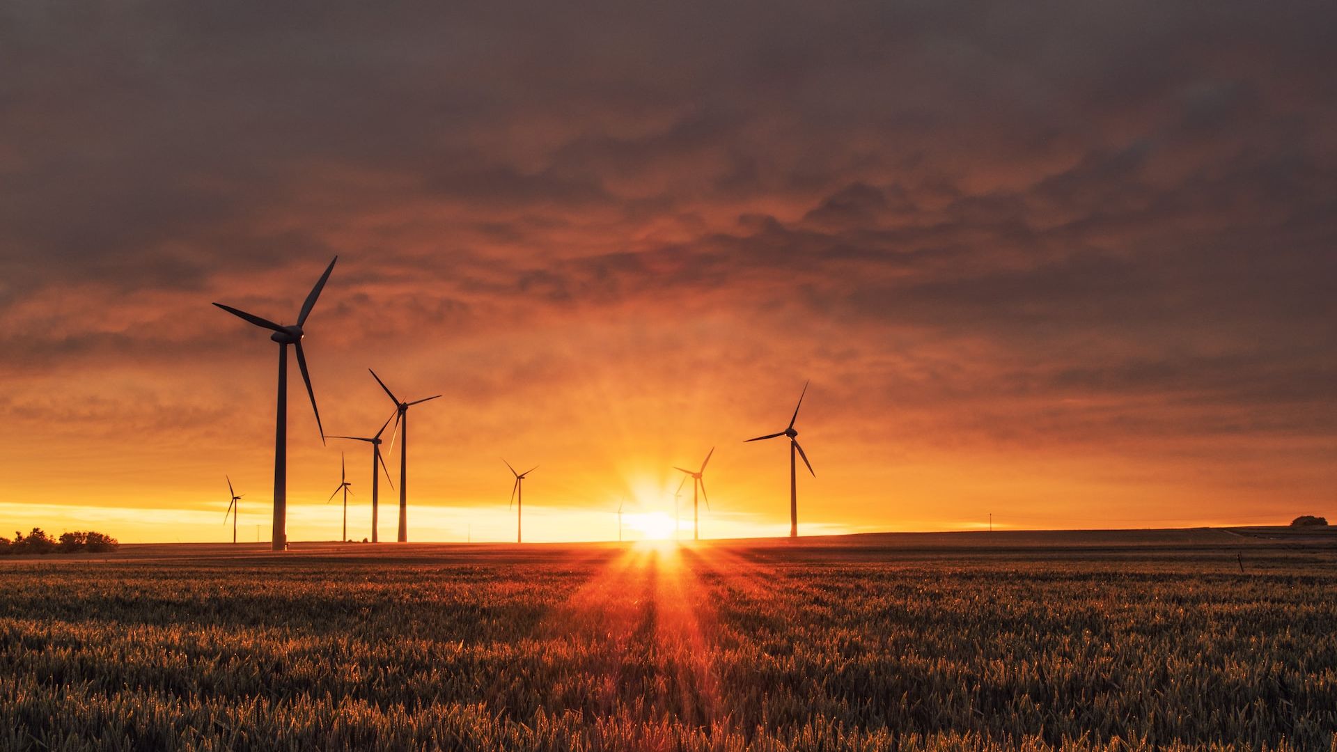 EY: Crizele globale au accelerat proiectele în domeniul energiilor regenerabile