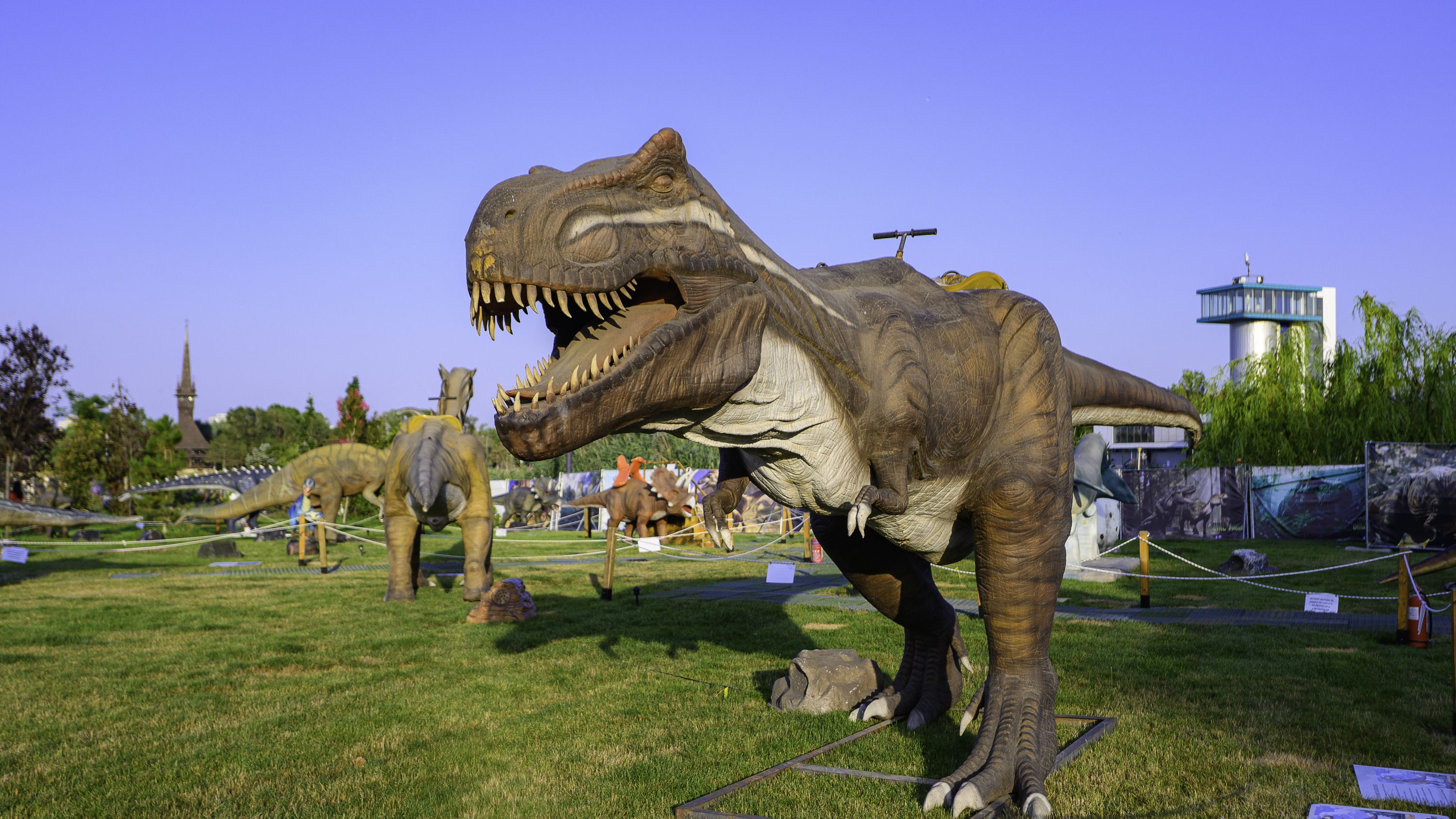 Cățeluși, dinozauri și stele: evenimente pentru copii la început de septembrie, în City Park Mall