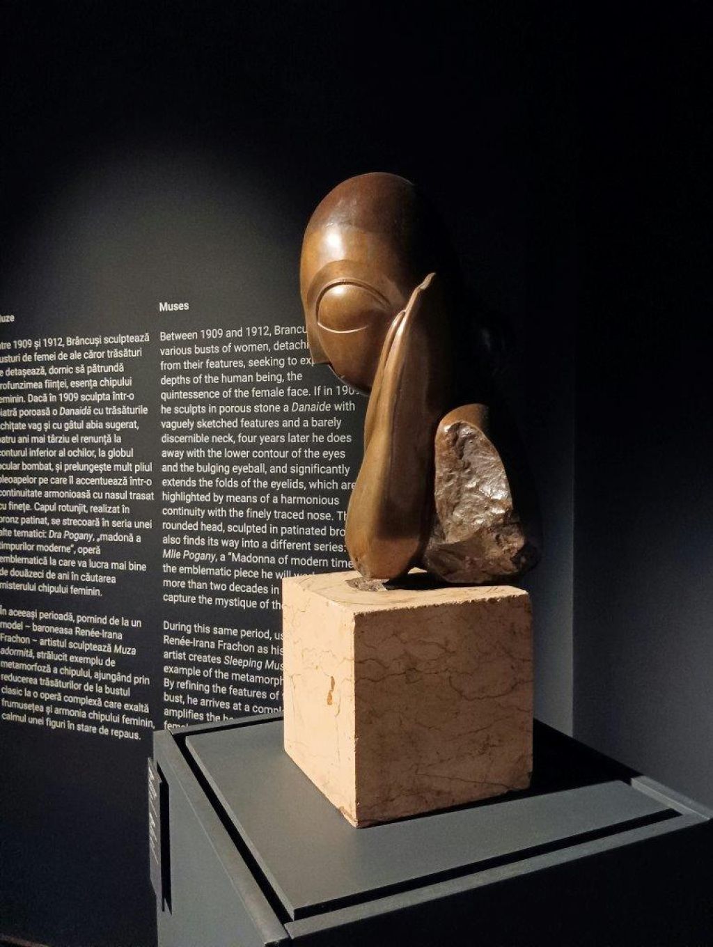Expoziția Brâncuși de la Timișoara: capodoperele, în vizită în patria părintelui lor - Imagine 81