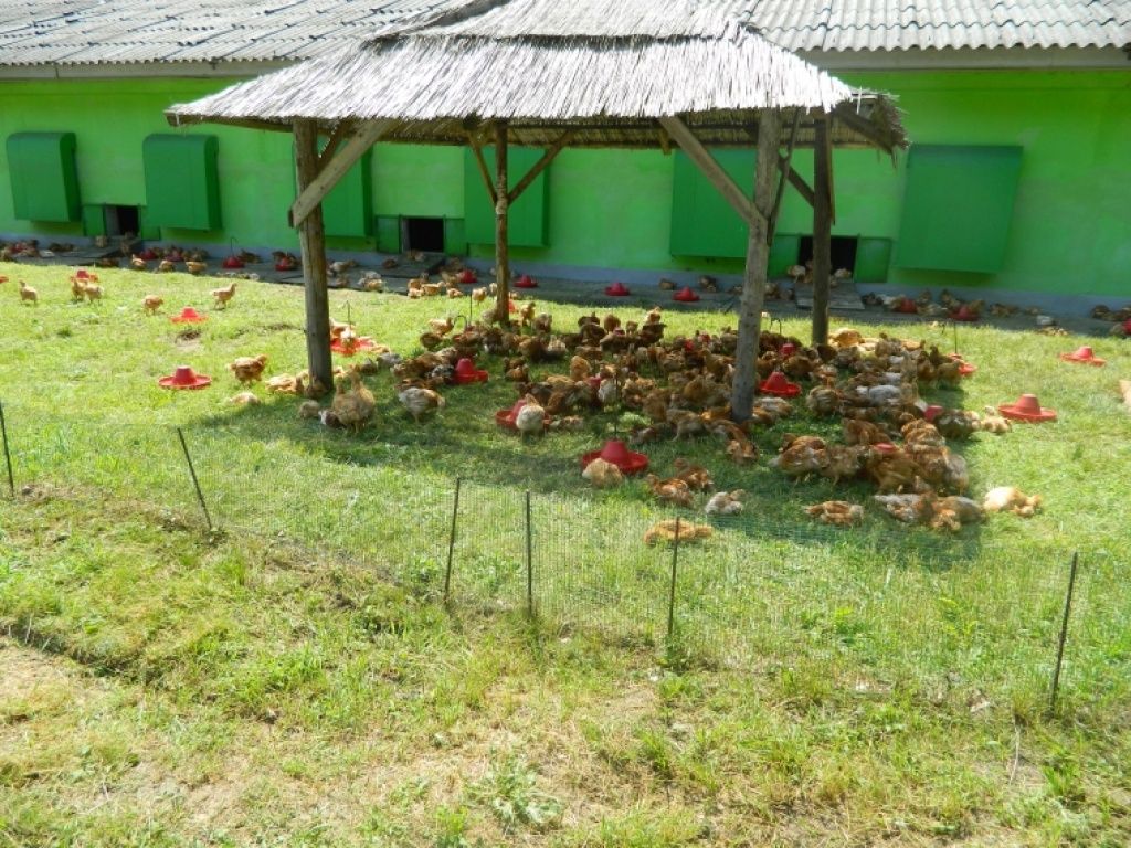 Agricola Bacau - Imagine 14