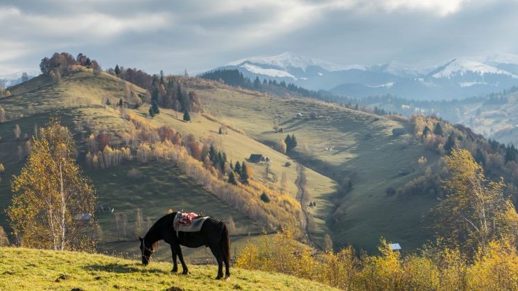 Vacanta de 1 Mai: 5 locuri de vizitat in Romania intr-o escapada de weekend