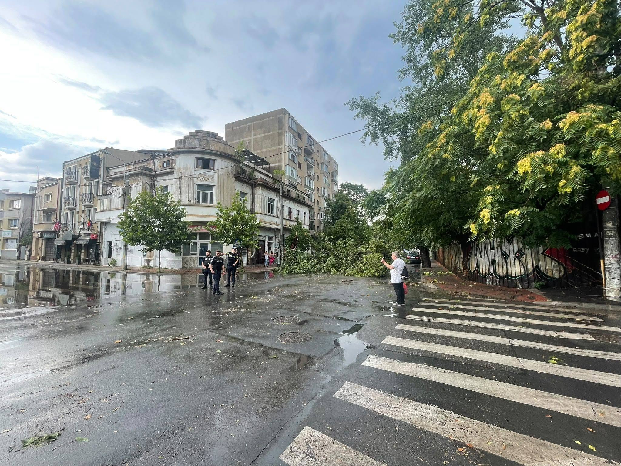 Bilanț după furtuna din București și Ilfov: 143 de intervenții, zeci de copaci prăbușiți și mesaje RO-ALERT