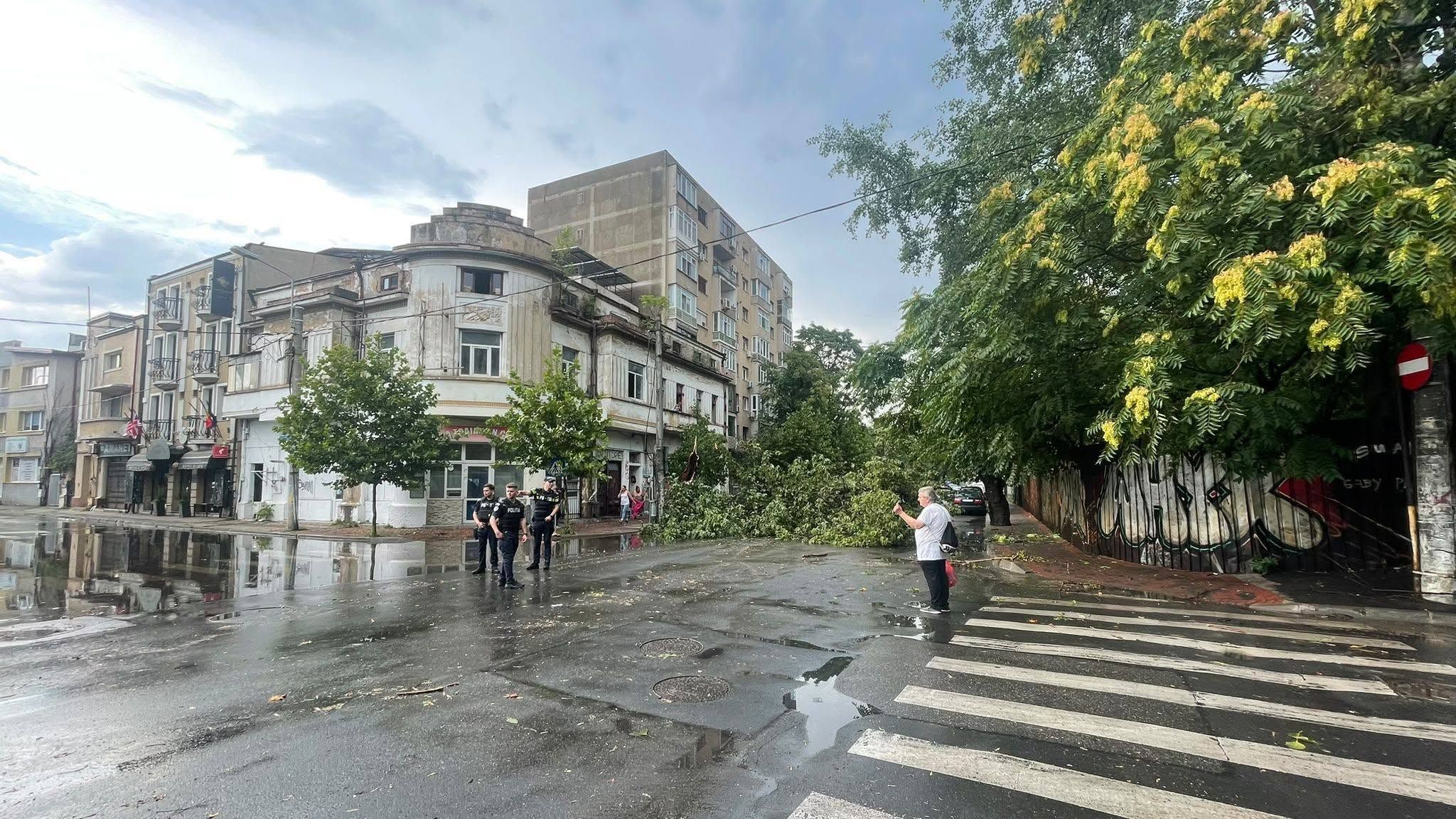 Bilanț după furtuna din București și Ilfov: 143 de intervenții, zeci de copaci prăbușiți și mesaje RO-ALERT