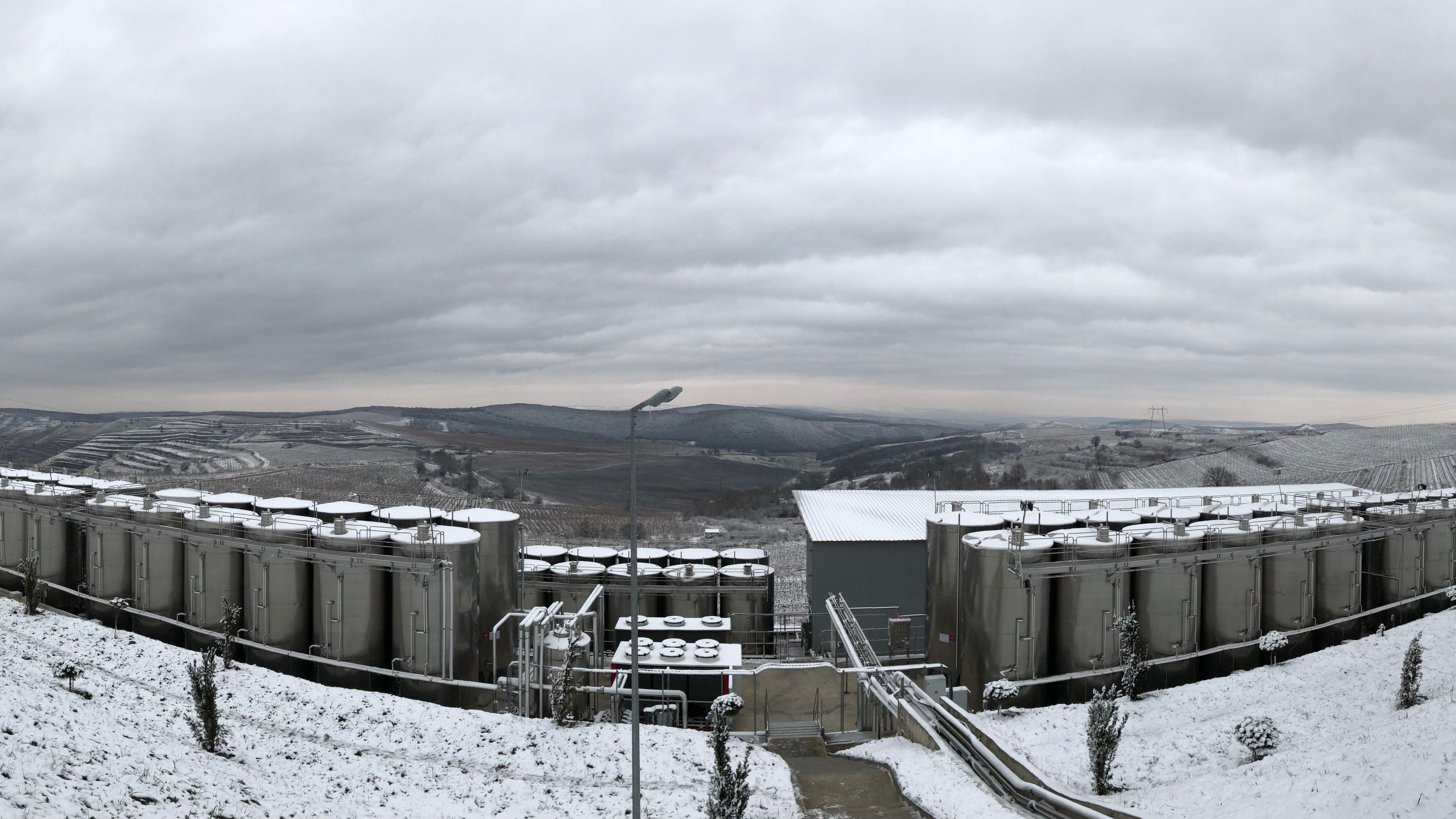 Dupa investitii de 6 milioane de euro in 2018, Jidvei estimeaza o productie de peste 21 de milioane de litri