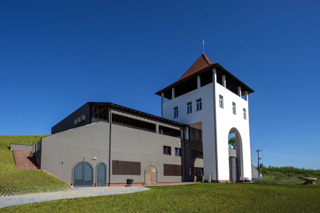 GALERIE FOTO: Cum arată crama Villa VinÃ¨a, după cele 2 milioane de euro investite în extinderea - Imagine 8